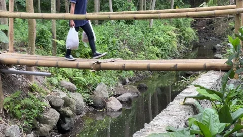 People Crossing Bamboo Bridge Stock Footage 163400580