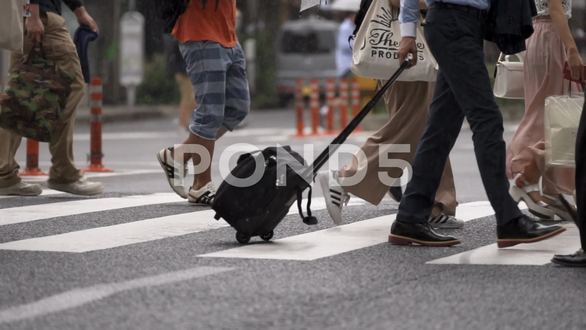 Crossing Roads Tokyo Stock Footage Royalty Free Stock Videos Page 19