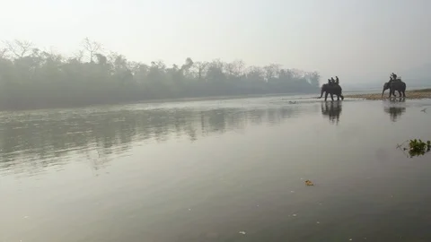 People crossing the river on elephant backs at dawn Stock Footage 113255007