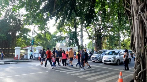 People crossing the road Stock Footage 262532961