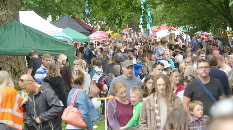 People crowd in a park  during a live event Video stock 56965286
