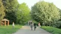 The people crowd in the picturesque park HD Footage