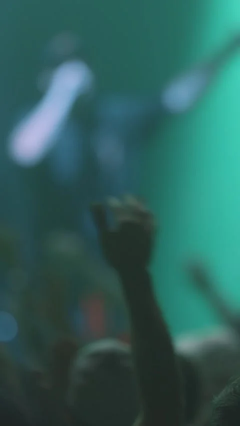 People in the crowd shaking their hands at a live concert Stock Footage 328343560