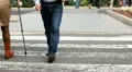 People crowd on zebra crossing street HD Footage