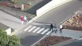 People crowd on zebra crossing street (timelapse) HD Footage