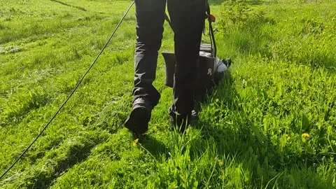 People cutting grass with a mower and a gasoline trimmer in the backyard Stock Footage 156111156