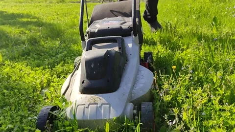 People cutting grass with a mower and a gasoline trimmer in the backyard Stock Footage 156111384