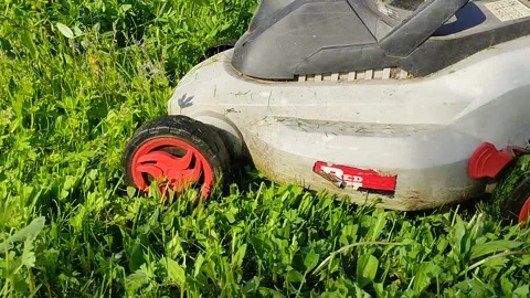 People cutting grass with a mower and a gasoline trimmer in the backyard Stock Footage 156111979