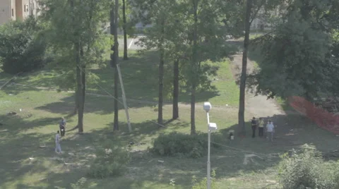 People cutting tree in a park.  Vídeo Stock 54755034