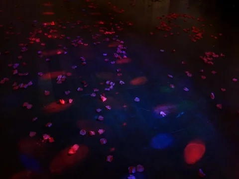 People dance on the dance floor Stock Footage 82697472