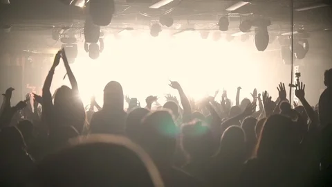 People dancing at the concert Stock Footage 99178149