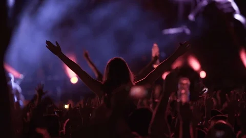 People dancing on a concert Stock Footage 123430520