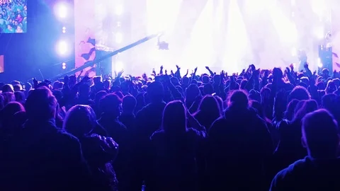 People dancing in a disco raised their hands up 스톡 동영상 121751236