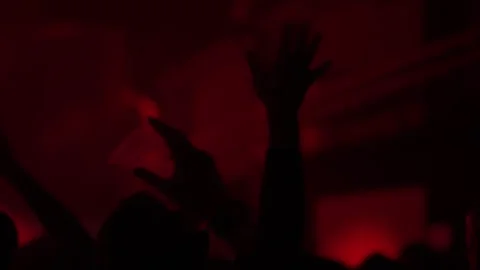 People Dancing, Waving Hands at Red-Lit Concert or Club Stock Footage 334484226