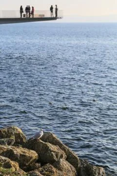 People on a deck Stock Photos