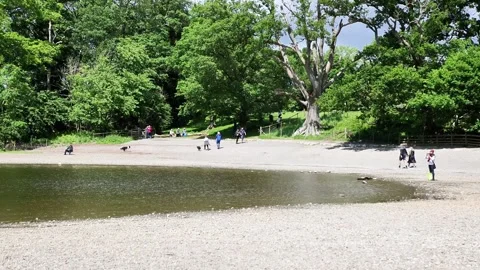 People at Derwentwater Stock Footage 301213786