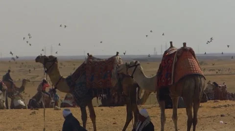 People in the desert Stock Footage 48646301
