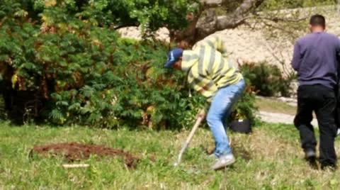 People dig Stock Footage 22111072