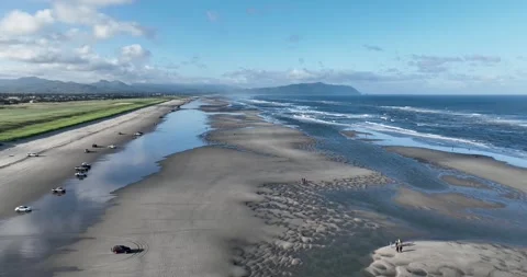 People digging for clams on the beach Stock Footage 247849335