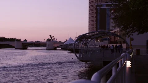 People in the distance walking down path in Tampa Bay at Sunset Stock Footage 113692026
