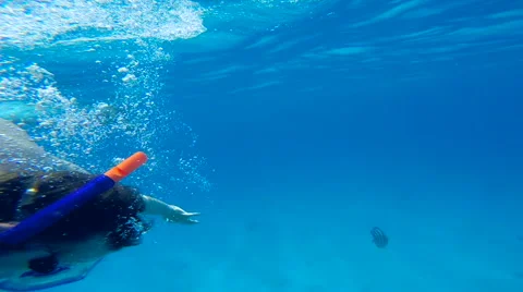 People diving under the warm cyan water. Stock Footage 62534132
