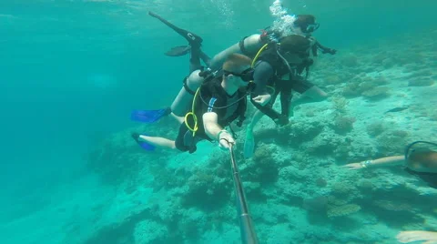 People diving under the warm cyan water. Stock Footage 62534793