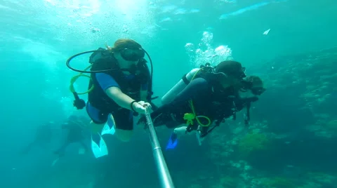 People diving under the warm cyan water. Stock Footage 62548688