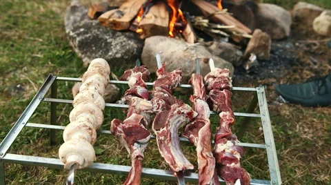 People do barbecue at the nature Stock Footage 62638874