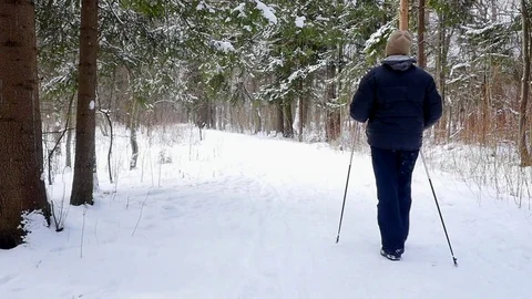 People do Nordic walking winter forest 스톡 동영상 73081295