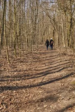 People with dog walking on a footpath in a forest on the Sciezka Zdrowa Stock Photos
