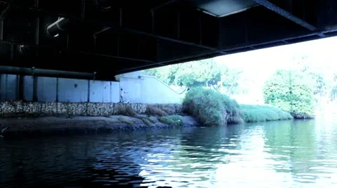 People doing exercise outdoors Video stock 20523550