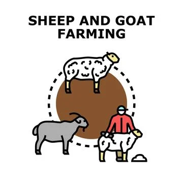 People doing sheep and goat farming livestock production Stock Illustration
