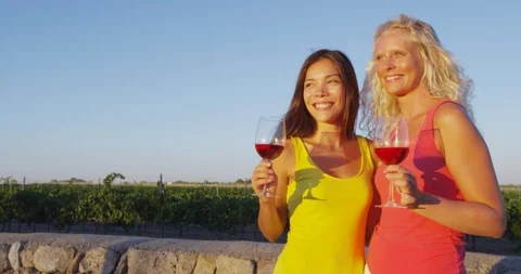 People drinking red rose wine at vineyard - friends at wine tasting Stock Footage 86340110