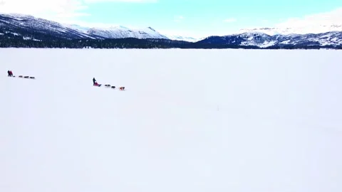People driving a dog sled pulled by a Alaskan huskies. Stock Footage 153742331