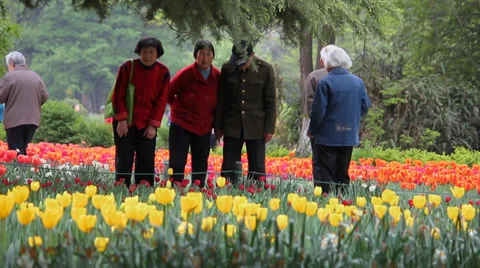 People enjoy strolling through the park and admiring the flowers Stock Footage 35512741