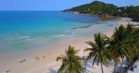 People enjoy summer Stock Footage 88820708