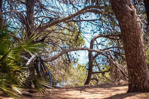 People enjoy time at the beach without worries with their bikes. Stock Photos