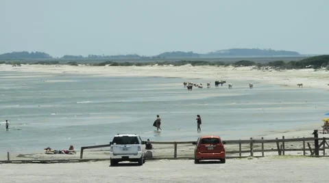 People Enjoying The Beach Stock Footage 47463223