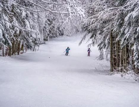 People enjoying skiing on the Clabucet ski lope in Predeal Mountain resort in Stock Photos