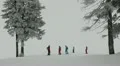 People Enjoying Winter Fairytale Scene White Sports Snow Skiing Snowed Slope HD Footage