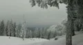 People Enjoying Winter Fairytale Scene White Sports Skiing on a Snowed Slope HD Footage