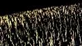 people of europe HD Footage