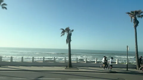 People exercising and walking on a seaside promenade with palm trees Stock Footage 339649637