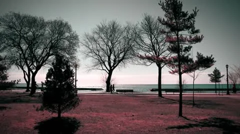 People Exercising  on a Boardwalk Stock Footage 22331050