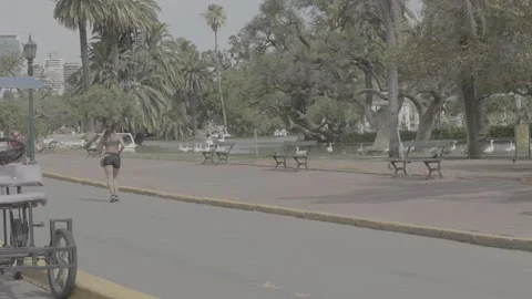 People exercising in a green park in Buenos Aires, Argentina Video stock 345143126