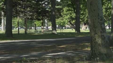 People exercising in the park (1 of 3) Stock Footage 50413699