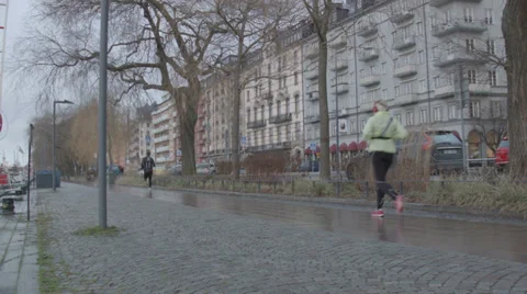 People Exercising in a park Stock Footage 33787780
