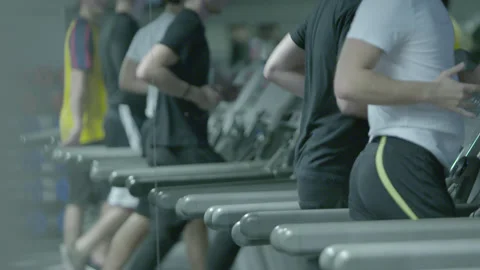 People Exercising on Treadmills in a Gym Stock Footage 343098511