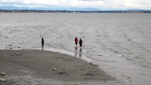 People Exploring White Rock Beach on April 7, 2024, BC, Canada Stock Footage 271383534