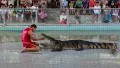 People at extreme crocodile show in Pattaya, Thailand HD Footage